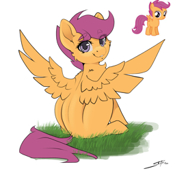 Size: 3000x3000 | Tagged: safe, character:scootaloo, species:pegasus, species:pony, g4, cheek fluff, colored eyebrows, cute, cutealoo, eyebrows, eyebrows visible through hair, female, filly, grass, looking at you, signature, simple background, sitting, solo, spread wings, three quarter view, white background, wings, young