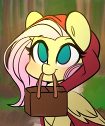 Size: 1718x2048 | Tagged: safe, artist:sakukitty, character:fluttershy, species:pegasus, species:pony, g4, basket, clothing, cute, eyebrows, female, holding, hood, little red riding hood, mare, mouth hold, no pupils, shyabetes, signature, smiling, solo, three quarter view