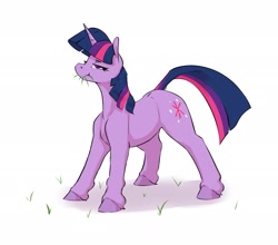 Size: 2175x1916 | Tagged: safe, artist:aquaticvibes, character:twilight sparkle, character:twilight sparkle (unicorn), species:pony, species:unicorn, g4, colored hooves, cutie mark, eating, eyebrows, eyelashes, female, grass, hooves, horn, horses doing horse things, lidded eyes, mare, solo, tail