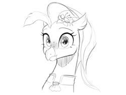 Size: 1061x803 | Tagged: safe, artist:cadillacdynamite, character:princess skystar, species:classical hippogriff, species:hippogriff, g4, black and white, blushing, clothing, explicit source, eyebrows, eyelashes, female, flower, flower in hair, freckles, grayscale, monochrome, simple background, sketch, solo, uniform, white background