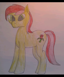 Size: 379x454 | Tagged: safe, artist:taiyofurea, species:earth pony, species:pony, colored, flower, paper, rose, solo, traditional art