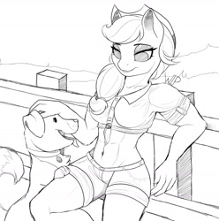Size: 1280x1290 | Tagged: safe, artist:evehly, character:applejack, character:winona, species:anthro, species:dog, species:earth pony, g4, abs, arm fluff, clothing, female, fence, front knot midriff, grayscale, mare, midriff, monochrome, no pupils, shorts, sketch, three quarter view, wip