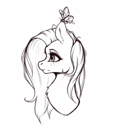 Size: 4096x4096 | Tagged: safe, artist:miokomata, character:fluttershy, species:pegasus, species:pony, g4, absurd resolution, black and white, bust, butterfly, chest fluff, ear fluff, eyebrows, female, freckles, freckleshy, grayscale, lineart, mare, monochrome, profile, simple background, solo, white background, wip