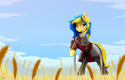 Size: 8250x5280 | Tagged: safe, artist:singovih, derpibooru original, oc, oc only, oc:ukraine, species:earth pony, species:pony, nation ponies, g4, armor, bipedal, bipedal leaning, cloud, current events, earth pony oc, eyebrows, fantasy class, female, field, food, grass, leaning, mare, ponified, scar, sky, solo, species swap, sword, three quarter view, ukraine, warrior, weapon, wheat