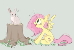 Size: 1200x814 | Tagged: safe, artist:melodylibris, character:fluttershy, species:pegasus, species:pony, species:rabbit, g4, animal, cute, female, green background, looking at each other, looking at someone, mare, open mouth, open smile, profile, question mark, shyabetes, simple background, sitting, smiling, solo, spread wings, that pony sure does love animals, tree stump, wings