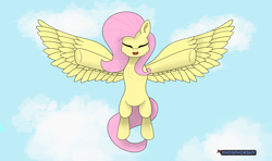 Size: 11466x6808 | Tagged: safe, artist:phosphorshy, character:fluttershy, species:pegasus, species:pony, g4, absurd resolution, blue sky, chest fluff, cloud, cute, dawwww, ear fluff, eyes closed, flying, incoming hug, open mouth, open smile, outstretched arms, shyabetes, signature, sky, smiling, solo, spread wings, wings