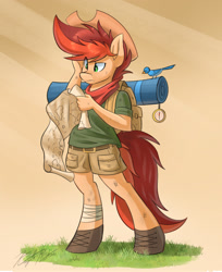 Size: 2200x2700 | Tagged: safe, artist:kaylerustone, oc, oc only, oc:kayle rustone, species:anthro, species:bird, species:unguligrade anthro, g4, anthro oc, bag, clothing, cowboy hat, eye clipping through hair, grass, hat, looking down, male, map, simple background, stallion, three quarter view
