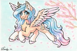 Size: 2688x1771 | Tagged: safe, artist:dandy, oc, oc only, species:pegasus, species:pony, blushing, cherry blossoms, coat markings, colored hooves, cute little fangs, ear fluff, eyebrows, eyebrows visible through hair, eyelashes, fangs, female, flower, flying, gradient hair, hooves, looking at you, mare, marker drawing, multicolored hair, sharp teeth, solo, spread wings, traditional art, unshorn fetlocks, wings