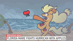 Size: 1920x1080 | Tagged: safe, artist:threetwotwo32232, character:applejack, species:earth pony, species:pony, newbie artist training grounds, g4, apple, atg 2021, beach, bipedal, breaking news, female, floppy ears, florida, florida man, food, hurricane, island, mare, misspelling, open mouth, outdoors, palm tree, profile, rain, silly, silly pony, solo, storm, tree, who's a silly pony, wind