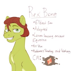 Size: 1000x1000 | Tagged: safe, artist:artistmythical, oc, oc only, oc:rex bone, species:earth pony, species:pony, g5, my little pony: a new generation, adopted offspring, colored eyebrows, earth pony oc, eyebrows, looking at you, male, offspring, parent:izzy moonbow, parent:sunny starscout, parents:izzyscout, simple background, smiling, text, three quarter view, white background