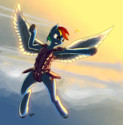 Size: 1024x1040 | Tagged: safe, artist:dimfann, character:rainbow dash, species:pegasus, species:pony, g4, armor, cloud, female, flying, horseshoes, mare, signature, sky, solo, spread wings, three quarter view, underhoof, wings
