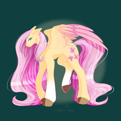 Size: 2048x2048 | Tagged: safe, artist:cha0sblue, character:fluttershy, species:pegasus, species:pony, g4, coat markings, colored eyebrows, colored hooves, colored wings, eyebrows, female, floppy ears, gradient wings, hooves, lidded eyes, looking at you, mare, multicolored wings, profile, raised hoof, signature, simple background, socks (coat marking), solo, spread wings, two toned wings, unshorn fetlocks, wings