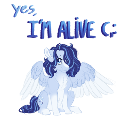 Size: 1024x969 | Tagged: safe, artist:azure-art-wave, oc, oc only, oc:azure, species:pegasus, species:pony, g4, chest fluff, coat markings, colored eyebrows, colored wings, cute, eyebrows, female, floppy ears, hair over one eye, looking at you, mare, multicolored wings, ocbetes, pegasus oc, simple background, sitting, socks (coat marking), solo, spread wings, text, transparent background, two toned wings, wings