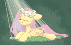 Size: 1666x1068 | Tagged: safe, artist:melodylibris, character:fluttershy, species:pegasus, species:pony, g4, blushing, cute, cutie mark, eyebrows, eyes closed, female, floppy ears, flower, flower crown, flower in hair, folded wings, mare, shyabetes, solo, sunbeam, tail, wings