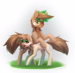 Size: 2313x2230 | Tagged: safe, artist:n_thing, oc, oc only, species:earth pony, species:pony, bipedal, commission, duo, eyebrows, eyebrows visible through hair, grass, looking at you, open mouth, simple background, tail, white background