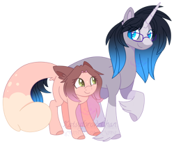 Size: 800x661 | Tagged: safe, artist:katsuforov-chan, base used, oc, oc only, oc:cinnamon fawn, oc:sapphire belle, ponysona, species:pony, species:unicorn, g4, big ears, blaze (coat marking), chinchilla, clydesdale, coat markings, colored eyelashes, colored horn, colored pupils, cute, duo, duo female, ear fluff, eye clipping through hair, facial markings, female, floppy ears, fluffy tail, freckles, glasses, gradient hair, height difference, hooves, horn, hybrid, leonine tail, looking at each other, looking at someone, multicolored hair, raised hoof, reference used, shy, simple background, size difference, smiling, smiling at each other, socks (coat marking), tail, transparent background, unshorn fetlocks, watermark