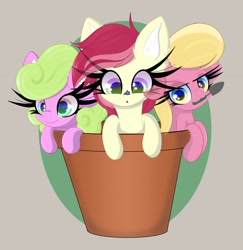 Size: 3985x4096 | Tagged: safe, artist:windykirin, character:daisy, character:lily, character:lily valley, character:roseluck, species:earth pony, species:pony, g4, adaisable, cute, cuteluck, ear fluff, eyelashes, female, females only, flower trio, gray background, impossibly large eyelashes, lilybetes, looking at you, mare, pot, simple background, trio, trio female, trowel
