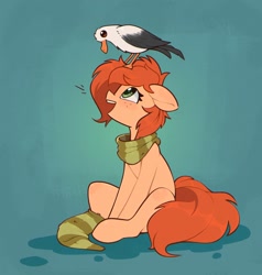Size: 1304x1372 | Tagged: safe, artist:rexyseven, oc, oc:rusty gears, species:earth pony, species:pony, species:seagull, clothing, eyes open, female, floppy ears, looking up, mare, on head, scarf, simple background, socks, solo, striped socks