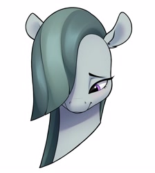Size: 2533x2828 | Tagged: safe, artist:aquaticvibes, character:marble pie, species:earth pony, species:pony, g4, bust, cute, eyebrows, eyelashes, female, looking down, marblebetes, mare, portrait, shy, simple background, smiling, solo, white background