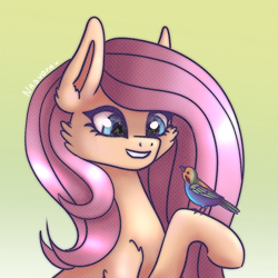 Size: 1080x1080 | Tagged: safe, artist:nasvora, character:fluttershy, species:pegasus, species:pony, g4, cheek fluff, cute, ear fluff, female, gradient background, green background, mare, raised hoof, shyabetes, signature, simple background, smiling, solo, three quarter view