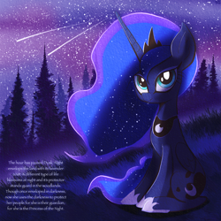 Size: 2048x2048 | Tagged: safe, artist:thebigstuff89, character:princess luna, species:alicorn, species:pony, g4, clothing, crown, cute, female, field, grass, hoof shoes, jewelry, looking at you, mare, meteor, necklace, night, night sky, peytral, princess of the night, regalia, shoes, shooting star, sitting, sky, solo, text, three quarter view, tree
