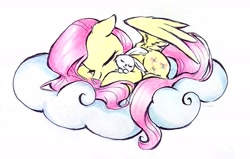 Size: 2707x1722 | Tagged: safe, artist:liaaqila, character:angel bunny, character:fluttershy, species:pegasus, species:pony, species:rabbit, g4, cloud, commission, duo, duo male and female, eyes closed, female, high res, lying down, male, mare, on a cloud, signature, simple background, sleeping, traditional art, white background, wings