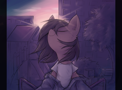 Size: 4072x3000 | Tagged: safe, artist:anotherdeadrat, oc, oc only, species:pony, clothing, crepuscular rays, eyes closed, high res, outdoors, shirt, solo, sunset