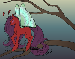 Size: 663x528 | Tagged: safe, derpibooru original, oc, oc only, species:breezies, dolldivine, female, gray background, purple mane, purple tail, red fur, simple background, solo, tree, tree branch, wings