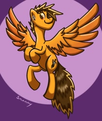 Size: 660x787 | Tagged: safe, artist:snunny, oc, oc:sunny ballads, species:pegasus, species:pony, female, jewelry, mare, pegasus oc, piercing, simple background, smiling, solo, spread wings, wings