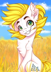 Size: 1668x2388 | Tagged: safe, artist:falafeljake, oc, oc only, oc:alabastor amril, species:earth pony, species:pony, chest fluff, cloud, commission, cute, ear fluff, earth pony oc, eyebrows, field, grin, holding, looking at you, mouth hold, ocbetes, signature, sitting, sky, smiling, smiling at you, solo, straw in mouth, wheat, ych result