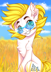 Size: 1668x2388 | Tagged: safe, alternate version, artist:falafeljake, oc, oc only, oc:alabastor amril, species:earth pony, species:pony, chest fluff, cloud, commission, cute, ear fluff, earth pony oc, eyebrows, field, grin, holding, looking at you, mouth hold, ocbetes, shutter shades, signature, sitting, sky, smiling, smiling at you, solo, straw in mouth, sunglasses, wheat, ych result