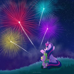 Size: 3000x3000 | Tagged: safe, artist:nnaly, character:spike, character:twilight sparkle, character:twilight sparkle (unicorn), species:dragon, species:pony, species:unicorn, g4, butt, duo, duo male and female, female, fireworks, grass, grass field, high res, horn, male, mare, night, night sky, outdoors, plot, raised hoof, signature, sitting, sky, stars