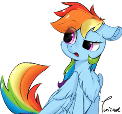 Size: 893x837 | Tagged: safe, artist:twiliset, derpibooru original, character:rainbow dash, species:pegasus, species:pony, g4, chest fluff, cute, dashabetes, eye clipping through hair, female, floppy ears, fluffy, folded wings, mare, open mouth, signature, simple background, sitting, solo, white background, wings