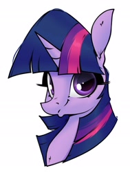 Size: 1570x2080 | Tagged: safe, artist:aquaticvibes, character:twilight sparkle, species:pony, g4, female, horn, looking at you, mare, portrait, simple background, solo, white background