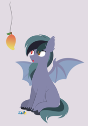 Size: 2727x3885 | Tagged: safe, artist:samsailz, oc, oc only, oc:scrimmy, species:bat pony, species:pony, :o, bait, bat pony oc, bat wings, ear fluff, food, full body, gray background, herbivore, heterochromia, high res, hooves, lineless, looking at something, mango, open mouth, reaction image, signature, simple background, sitting, solo, spread wings, string, tail, this is bait, unshorn fetlocks, wings
