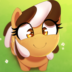 Size: 1000x1000 | Tagged: safe, artist:thebatfang, oc, oc only, oc:s'mare, species:earth pony, species:pony, g4, blurred background, boopable, cute, eye clipping through hair, flower, food, food pony, grass, high angle, looking at you, looking up, looking up at you, ocbetes, original species, ponified, s'mores pony, smiling, solo, species swap