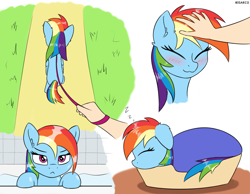 Size: 1900x1473 | Tagged: safe, artist:irisarco, derpibooru original, character:rainbow dash, species:human, species:pegasus, species:pony, g4, :3, :<, basket, bathroom, bathtub, blanket, blushing, cropped, cute, dashabetes, day, desk, dialogue, dock, ear fluff, eyes closed, feathered wings, female, floppy ears, frown, grass, head pat, human on pony petting, indoors, leash, lidded eyes, looking at you, lying down, mare, offscreen character, onomatopoeia, outdoors, pat, path, pet, pet bed, pet-dash, petting, pony pet, pov, sleeping, smiling, sound effects, tail, unamused, walking, water, watermark, wet, wings, zzz