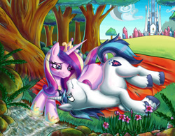 Size: 1024x798 | Tagged: safe, artist:kcday, character:princess cadance, character:shining armor, species:alicorn, species:pony, species:unicorn, ship:shiningcadance, g4, blanket, colored hooves, crystal empire, cute, cutedance, female, forest, hooves, lying down, male, mare, on side, prone, river, scenery, shining adorable, shipping, stallion, stream, tree, unshorn fetlocks