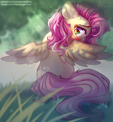 Size: 1000x1079 | Tagged: safe, artist:chaosangeldesu, character:fluttershy, species:pegasus, species:pony, g4, cute, eyebrows, grass, heart eyes, hiding, looking at you, profile, rear view, shyabetes, sitting, solo, spread wings, wingding eyes, wings