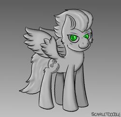 Size: 1133x1099 | Tagged: safe, artist:scarletdoodle, oc, oc:swift apex, species:pegasus, species:pony, cheek fluff, cute, cutie mark, gradient background, grayscale, green eyes, leg fluff, limited palette, looking at you, male, monochrome, ocbetes, pegasus oc, signature, solo, spread wings, stallion, three quarter view, wings