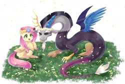 Size: 1803x1210 | Tagged: safe, artist:plusplus_pony, character:discord, character:fluttershy, species:draconequus, species:pegasus, species:pony, g4, candy, duo, eyes closed, female, floral head wreath, flower, folded wings, food, grass, male, mare, open mouth, open smile, smiling, spread wings, wings