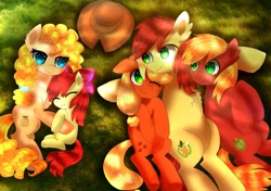 Size: 1521x1068 | Tagged: safe, artist:jaanhavi, character:apple bloom, character:applejack, character:big mcintosh, character:bright mac, character:pear butter, species:earth pony, species:pony, g4, adorabloom, apple family member, brightabetes, clothing, cute, family, female, filly, foal, grass, grass field, hat, jackabetes, lying down, macabetes, male, mare, on back, on side, overhead view, pearabetes, stallion, young