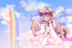 Size: 2048x1365 | Tagged: safe, artist:vanilla-chan, oc, oc only, species:pegasus, species:pony, cloud, commission, glasses, on a cloud, open mouth, rainbow, rainbow waterfall, sitting, sitting on a cloud, solo, spread wings, wings