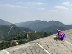 Size: 4032x3024 | Tagged: safe, manebooru original, character:twilight sparkle, species:pony, great wall of china, irl, photo, ponies in real life