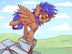 Size: 1600x1200 | Tagged: safe, artist:falafeljake, oc, oc only, species:pegasus, species:pony, cloud, commission, eyebrows, eyebrows visible through hair, grass, outdoors, pegasus oc, raised leg, signature, sky, smiling, solo, spread wings, wings