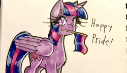 Size: 3973x2267 | Tagged: safe, artist:midoriya_shouto, manebooru original, species:alicorn, species:pony, bisexual, bisexual pride flag, chest fluff, female, holding, male, manechat challenge, mouth hold, pride flag, princess twilight, solo, traditional art