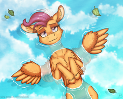 Size: 1800x1451 | Tagged: safe, artist:inuhoshi-to-darkpen, character:scootaloo, species:pegasus, species:pony, g4, cheek fluff, chest fluff, cloud, ear fluff, feathered fetlocks, female, fluffy, leaf, leaves, leg fluff, looking up, lying down, on back, partially submerged, reflection, sky, smiling, solo, spread wings, unshorn fetlocks, water, wing fluff, wings