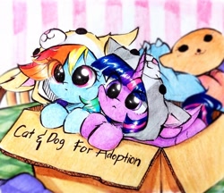 Size: 2602x2247 | Tagged: safe, artist:liaaqila, character:rainbow dash, character:twilight sparkle, character:twilight sparkle (alicorn), species:alicorn, species:pegasus, species:pony, ship:twidash, g4, animal costume, box, cardboard box, clothing, commission, costume, cute, dashabetes, dawwww, duo, duo female, eye clipping through hair, female, folded wings, high res, horn, lesbian, looking at you, mare, pony in a box, shipping, traditional art, twiabetes, wings