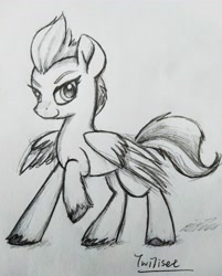 Size: 3120x3882 | Tagged: safe, artist:twiliset, derpibooru original, character:zipp storm, species:pegasus, species:pony, g5, black and white, colored hooves, confident, cool, eyebrows, female, grayscale, hooves, looking at you, mare, monochrome, pencil drawing, raised hoof, signature, simple background, smiling, solo, traditional art, unshorn fetlocks