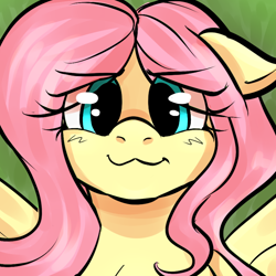 Size: 800x800 | Tagged: safe, artist:marubup, character:fluttershy, species:pegasus, species:pony, g4, :3, close-up, cute, female, floppy ears, looking at you, mare, shyabetes, smiling, smiling at you, solo